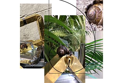 arredamento minimale ed ecosostenibile ispirato alla natura