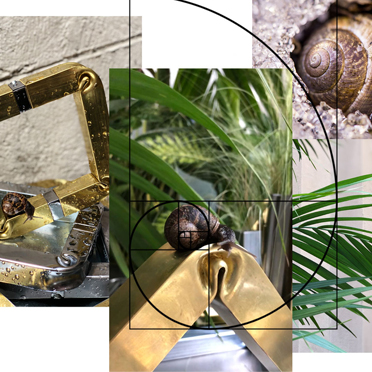 arredamento minimale ed ecosostenibile ispirato alla natura